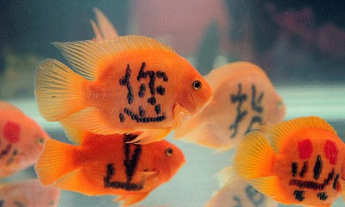 Should have checked that translation