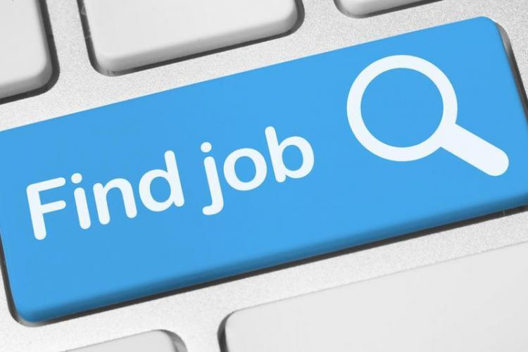 the job hunt