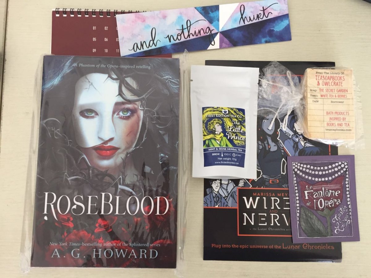 The contents of my Owlcrate box