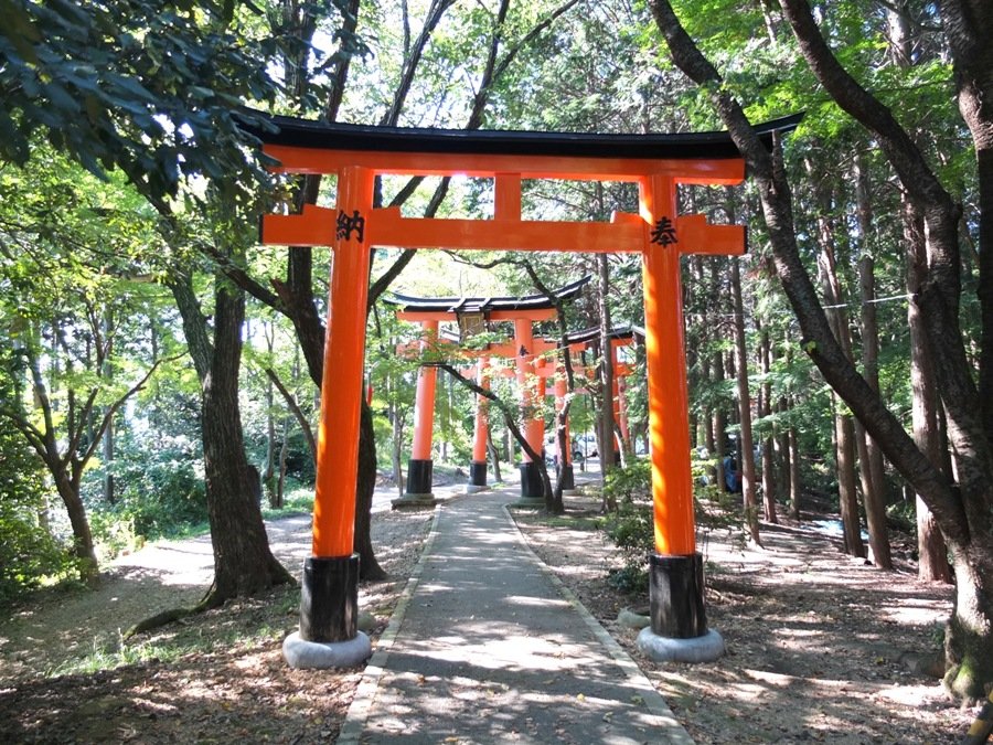 Torii at Fushimi Inari-taisha