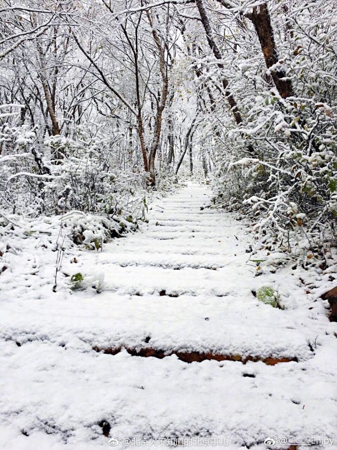 Snowing is Half the Battle: Beijing Receives Year’s First Snowfall