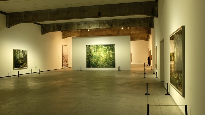 Language of Photography and Dusseldorf School