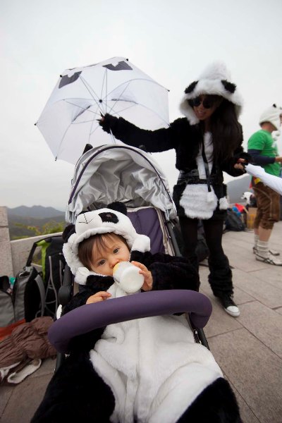 panda_corner_beijing25.jpg