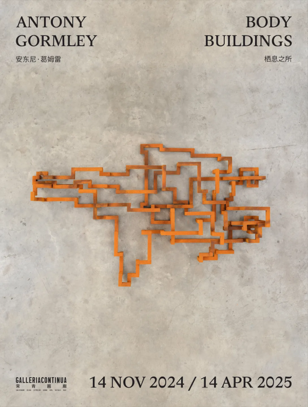 gormley continua poster 0