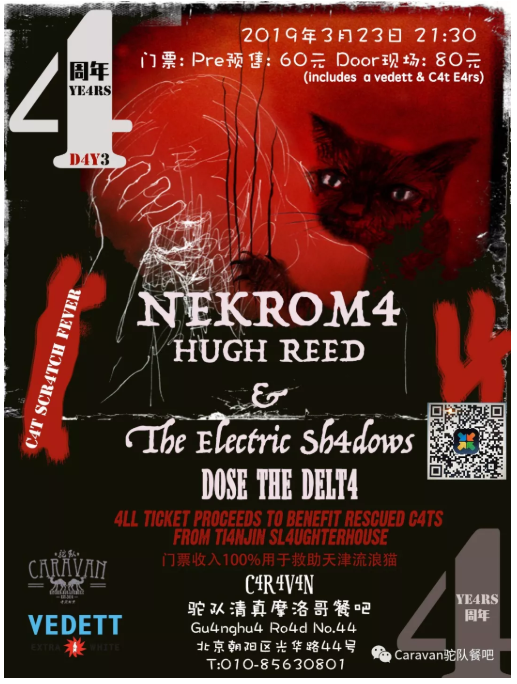 Giving Hope Back Cats Giving Hope Back Cats