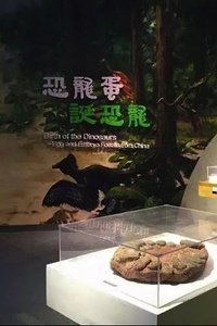 Dinosaur Egg Exhibition