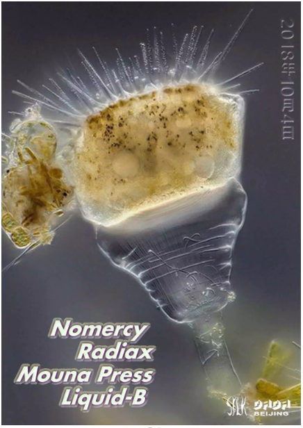 S!lk Presents Nomercy, Radiax, Mouna Press and Liquid-B