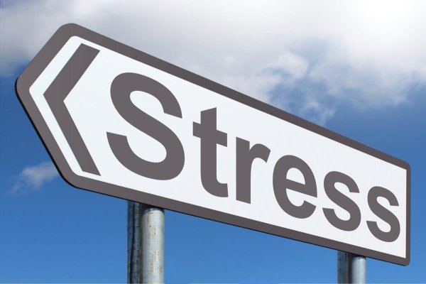 Stress Management: The Only Way is Through – Coping with Daily Stress