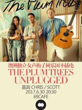 The Plum Trees Unplugged