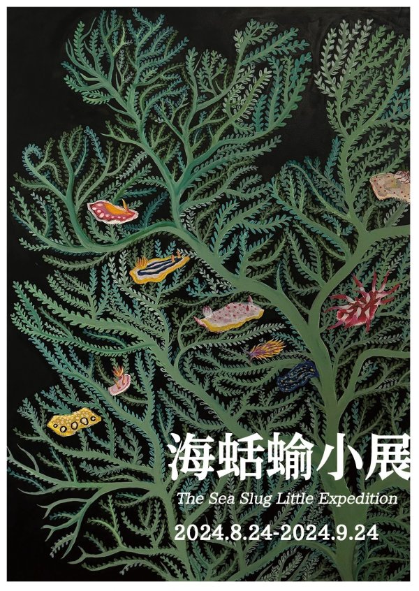 image 20240820141602