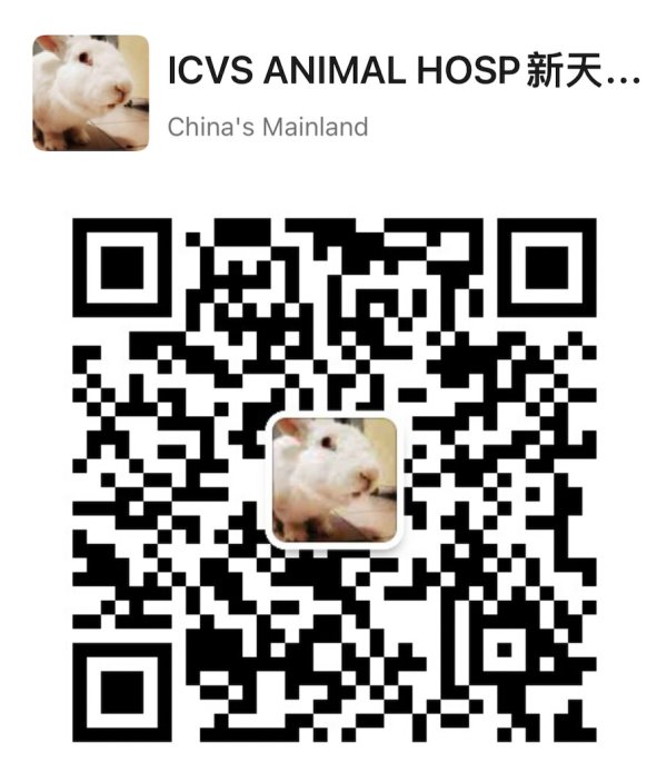 Send your "before" and "after" adoption pet photos to ICVS WeChat and be featured in the pet photo exhibition!
