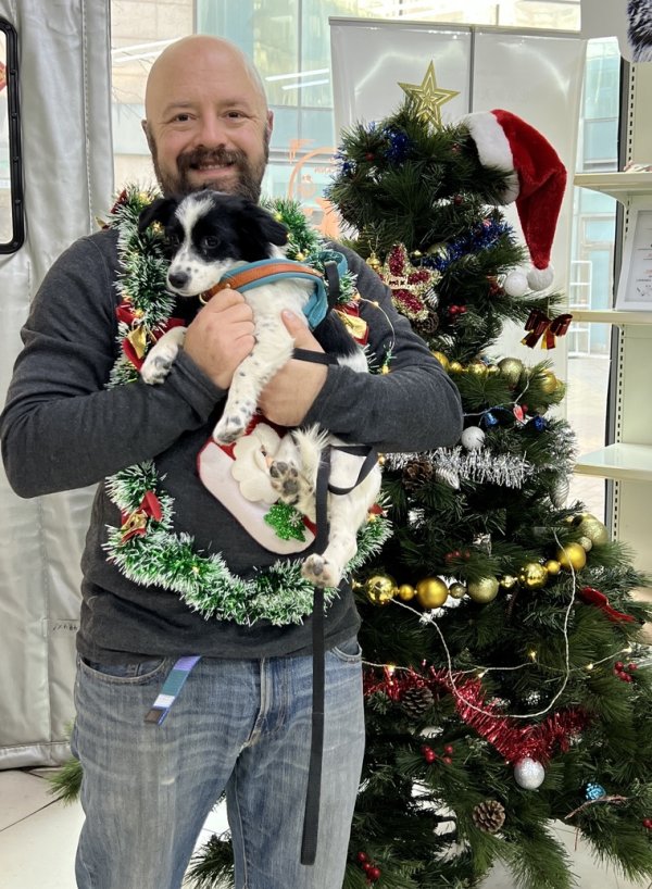 ICVS 2025 Christmas Party For Pets & Their People - Dec. 6th, 2-5PM Celebrate the holidays at ICVS with a party for pets, owners, pet rescuers and pet lovers. Everyone is welcome!