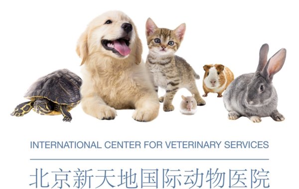 ICVS “Departing From China With Pets” FREE Online Information Session – August 1, 2026, 11AM Are you preparing to take your pets overseas? Register for the FREE online ICVS Departing From China With Pets information session. It is never too early to prepare!