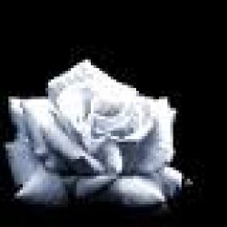 samuel76's picture