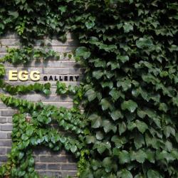 EGG GALLERY's picture