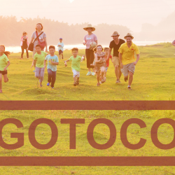 Gotoco International's picture