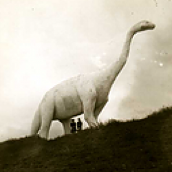 brontosaurus's picture