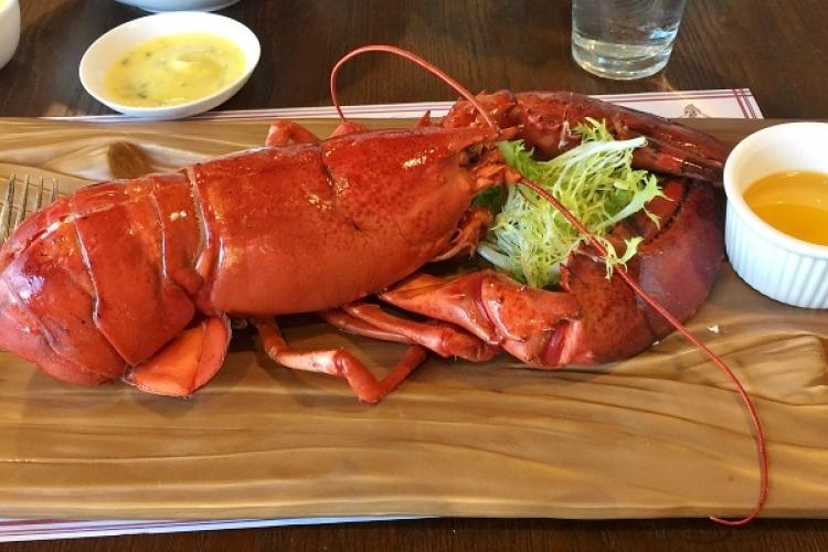Want the Perfect Steamed Lobster in Beijing? Head to the Lobster Kitchen