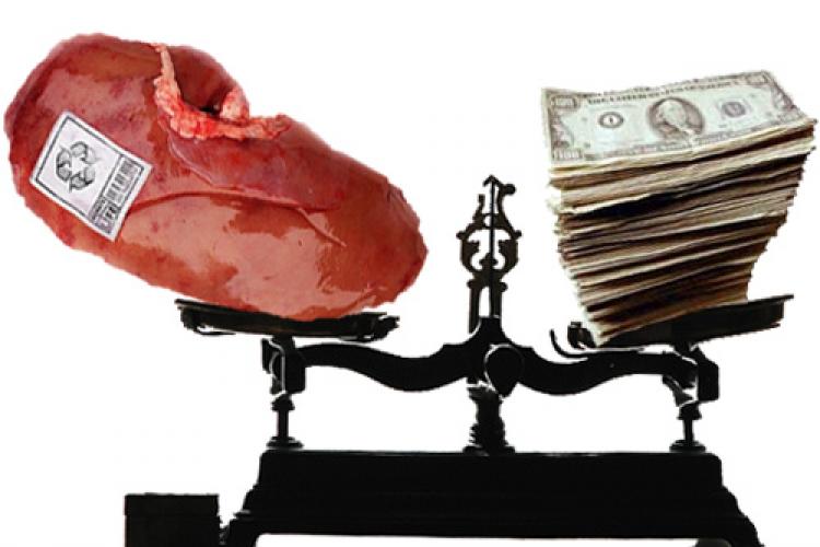 Find A Job Without Losing Your Kidneys