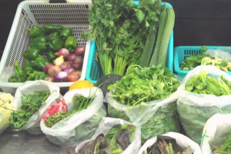 Another Organic Option: Modernista Welcomes Farm to Neighbors Market Every Weekend  