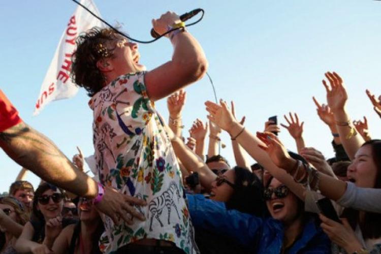Festival Frenzy