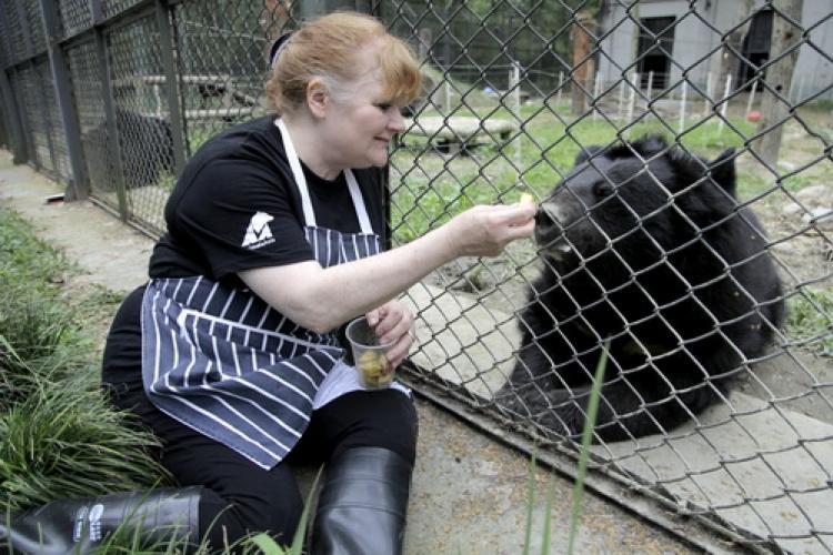 Mrs. Patmore’s Bears: Lesley Nicol Has Hugs For Sichuan’s Furry victims