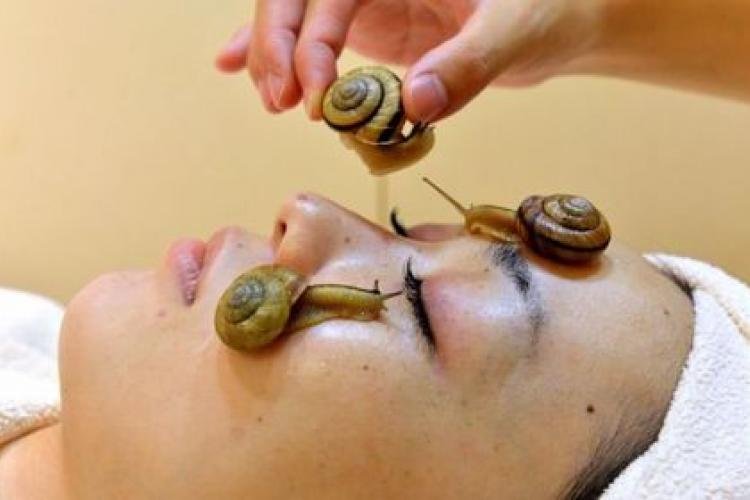 Get Your Slime On: Japanese Snail Facials Available On Taobao