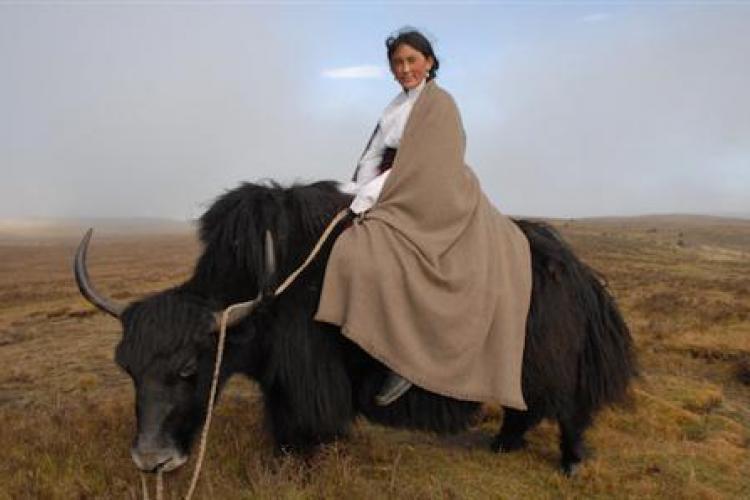 Norlha Pop-Up Store: Tibetan Blankets, Knitwear and Shawls  