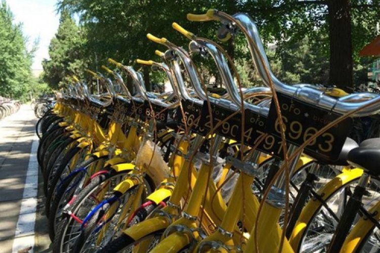 OFO Bicycles: The Miracle Answer for Wudaokou&#039;s Broke and Bikeless Students
