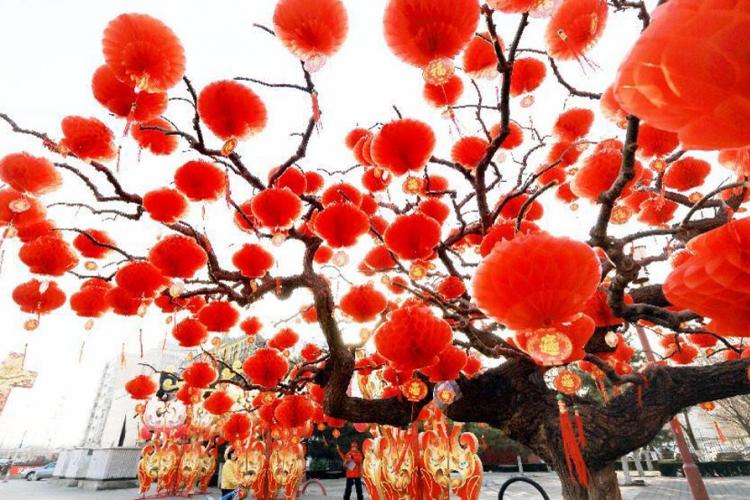 All By Myse-he-helf: What To Do If You&#039;re Staying in Beijing Over Spring Festival