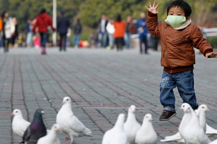Woman Carrying Bird Flu in Critical Condition, Quarantined in Beijing
