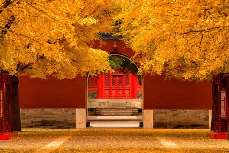 Feast Your Eyes on Fall Foliage at These Beijing Mountain Parks