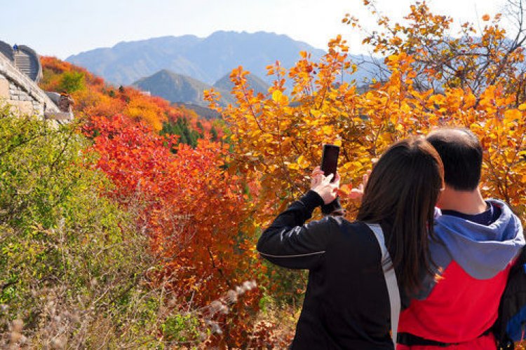 Red, Gold, and Orange: Beijing&#039;s Best Parks to Watch Fall Leaves Change (Pt. 2)