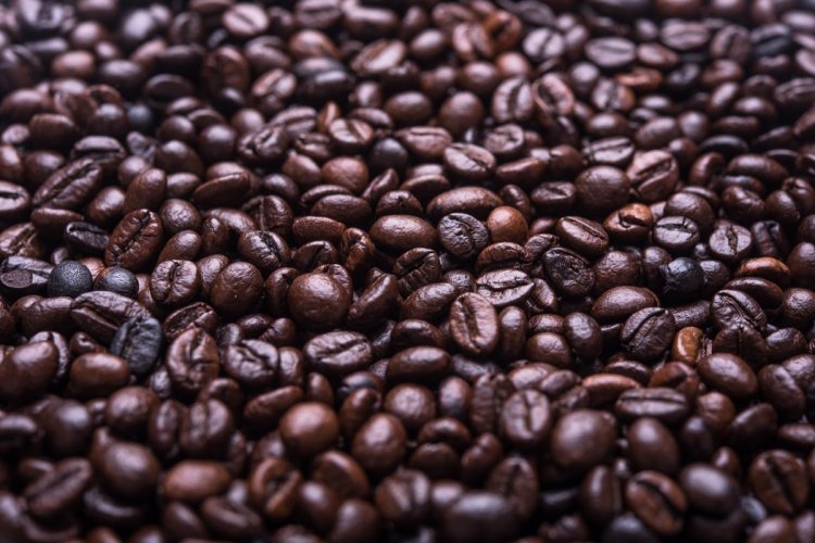 Keen On Coffee? Meet the World’s Top Roasters at This Weekend&#039;s Cherry Coffee Festival 