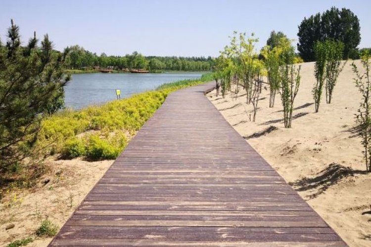 Park Life: Everything You Need to Know About Dongjiao Wetland Park
