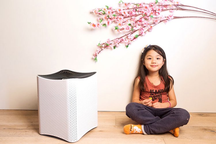 Mila Takes the Guesswork Out of Clean Air with Monthly Purifier Plans