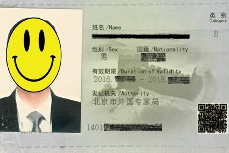How to Check Your Work Permit Classification and Visa Application Status via WeChat