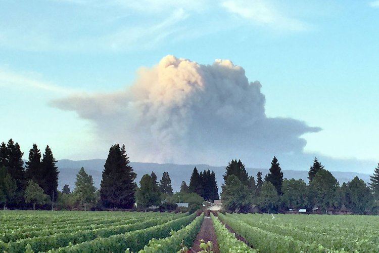 Beicology: Haze From Napa Valley Blaze “Bringing Beijing to the Bay Area”