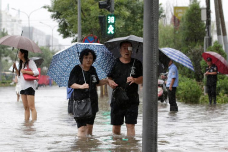 Musings on When it Rains 猫 and 狗