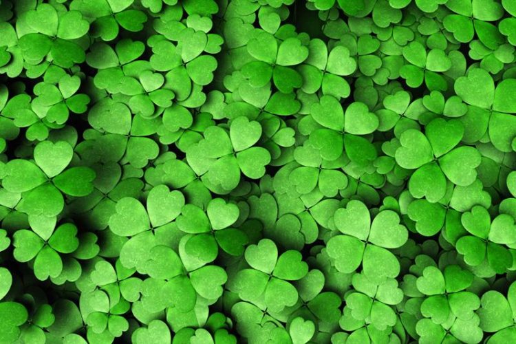 Going Green: 7 Hatchet St. Paddy’s Day Parties This Saturday