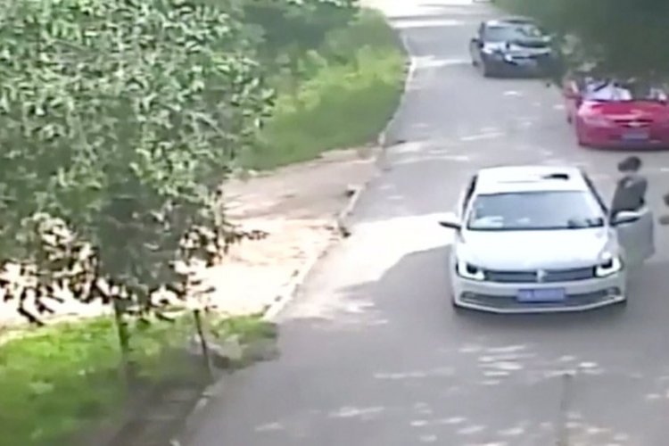 Survivors of Fatal July Badaling Tiger Attack Demand RMB 2 Million in Compensation Survivors of Fatal July Badaling Tiger Attack Demand RMB 2 Million in Compensation