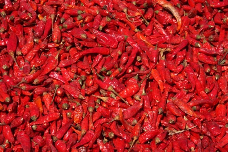 Hot Deal: 6 Pairs of Tickets up for Grabs for Our Hot &amp; Spicy Festival, Apr 14-15