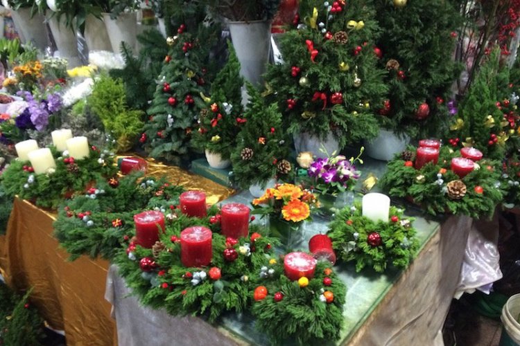 Where to Buy Real and Fake Christmas Trees in Beijing