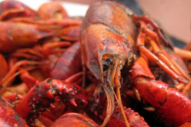 EAT: GLB Crawfish Boil and Other Eats for Dragon Boat Festival