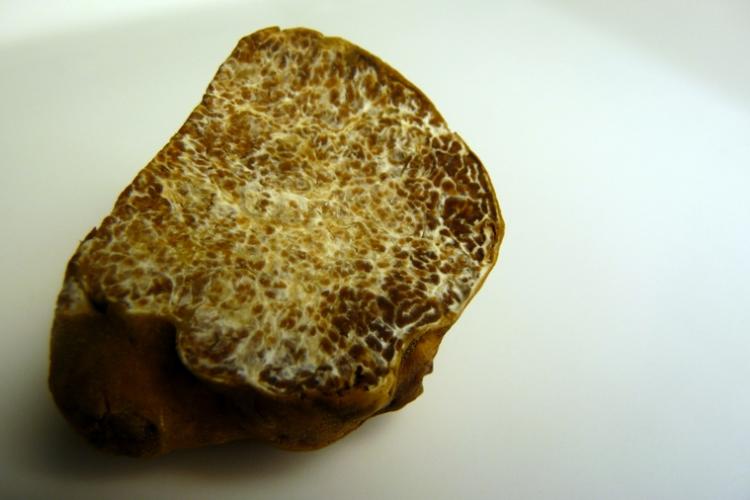 EAT: Chi Fan for Charity, White Truffle Season and Another Guest Chef at TRB EAT: Chi Fan for Charity, White Truffle Season and Another Guest Chef at TRB