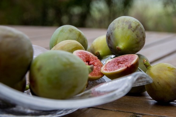 Season&#039;s Eatings: Cooking with Versatile Fresh Figs