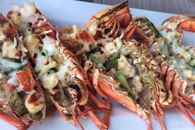 Free-flow Lobster and Surprising Indian Food at Café Cha