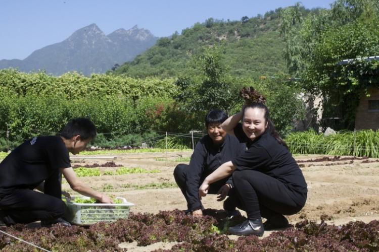 What is the Slow Food Movement and How Can You Get Involved in Beijing?