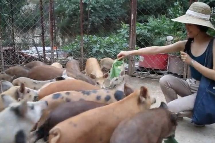 Farm 2 Neighbors Breaks Through With New Documentary, Biggest Market Yet