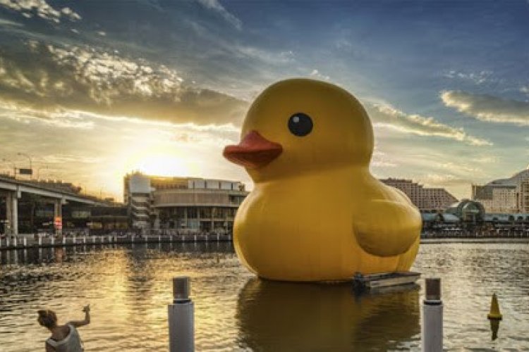 Throwback Thursday: The Giant Rubber Duck Floats on Beijing Waters